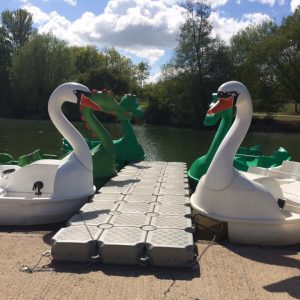 Pedalos - swans and dragons