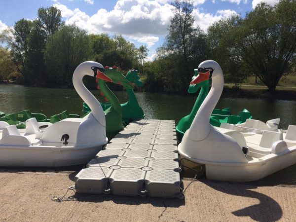 Pedalos - swans and dragons
